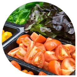 Fresh ingredients for a salad bar